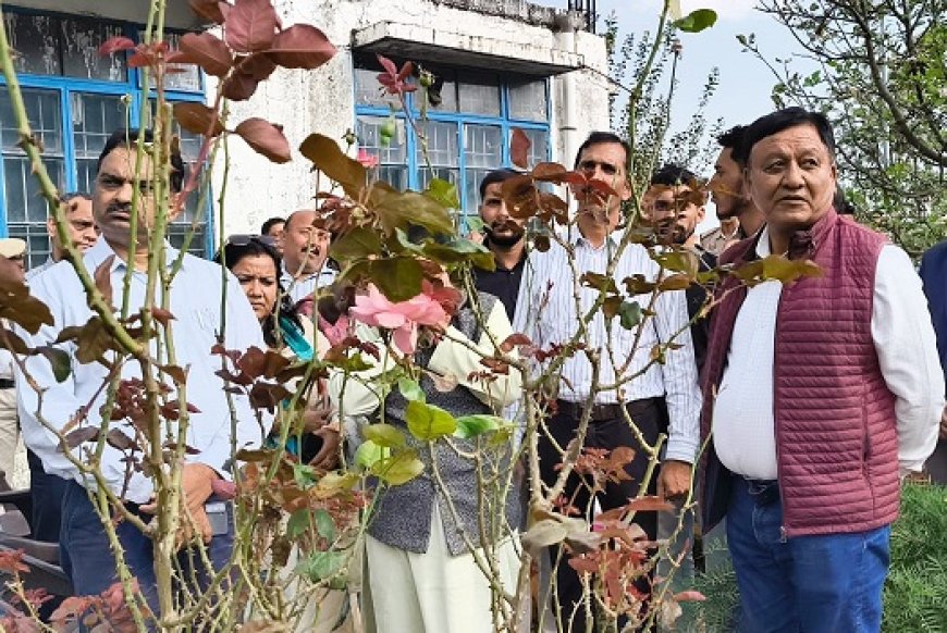 बागवानी मंत्री ने समराहन के फल संतति एवं प्रदर्शन उद्यान का किया निरीक्षण