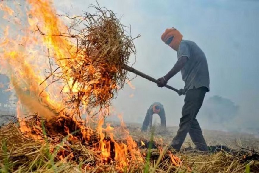 पराली जलाने से दिल्ली सहित मैदानी इलाकों की हवा में घुल रहा जहर, तो हिमाचल की हवा साफ़ सुथरी