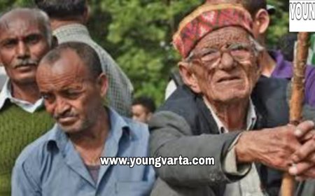 सामाजिक सुरक्षा पेंशन के 2371 नए मामले स्वीकृत कर सरकार ने मंडी के लोगों को दिया दीपावली का तोहफा