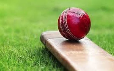 15 नवंबर से शुरू होगी हिमाचल की सबसे बड़ी क्रिकेट लीग , विजेता टीम को मिलेगा  21 लाख का नकद पुरस्कार