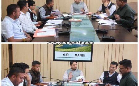 रूफटॉप सोलर पावर प्लांट पर सरकार प्रति किलोवाट दे रही 33000 का उपदान : अपूर्व देवगन