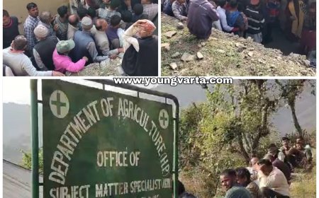 सरकार से नाराज शिलाई का किसान , गेहूं बीज वितरण पर विभागीय कर्मियों की कार्यप्रणाली पर किसानों के उठाए सवाल