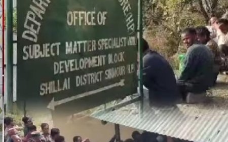 सरकार से नाराज शिलाई के किसान, गेहूं बीज वितरण पर विभागीय कर्मियों की कार्यप्रणाली पर उठाए सवाल