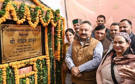 शिक्षा मंत्री ने पुजारली-4 में 98 लाख से बनने वाले पशु औषधालय की रखी आधारशिला