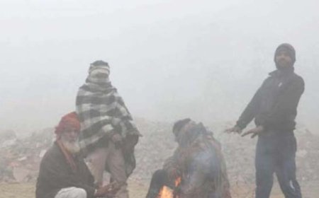 हिमाचल में मौसम में आए बदलाव से ठंड में हुआ इजाफा,कई क्षेत्रों में कोहरा पड़ने का अलर्ट जारी  