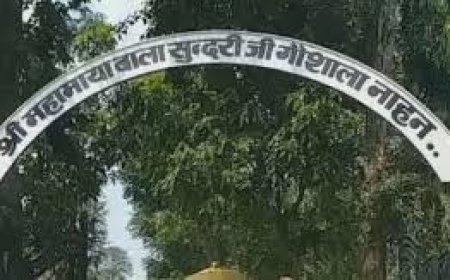 नाहन में 2 दिवसीय गोपाष्टमी पर्व की धूम, गौ पूजन के लिए दूर-दूर से पहुंचे लोग