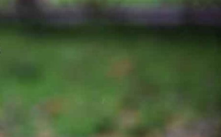 हिमाचल में सूखे की स्थिति,22 नवंबर को कुछ क्षेत्रों में हल्की बारिश की संभावना