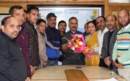 कंप्यूटर शिक्षक संघ के प्रतिनिधिमंडल ने अध्यक्ष सुमन ठाकुर के नेतृत्व में सीएम सुक्खू से की भेंट