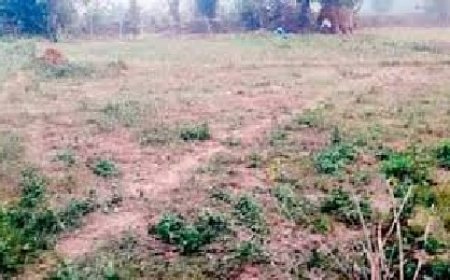 हिमाचल में सूखे जैसे हालात, हिमाचल में 80 फीसदी खेती बारिश पर निर्भर