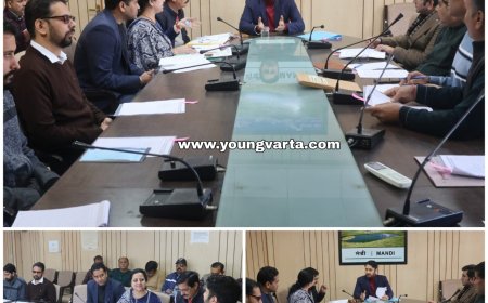 आयुर्वेदिक अस्पताल में बेहतर की जाए स्वास्थ्य सेवाएं , रोगी कल्याण समिति की बैठक में डीसी ने दिए निर्देश