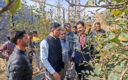 उपायुक्त मुकेश रेपसवाल ने उद्यान विभाग द्वारा संचालित योजनाओं का किया निरीक्षण