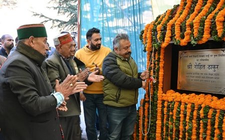 शिक्षा मंत्री ने 95 लाख से निर्मित निहारी गरावग संपर्क मार्ग पर बैली ब्रिज का किया लोकार्पण