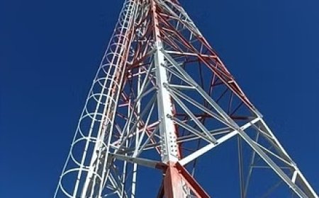 बीएसएनएल के 4जी नेटवर्क से जुड़ने से दुर्गम क्षेत्र पिन वैली के लोगों में खुशी की लहर