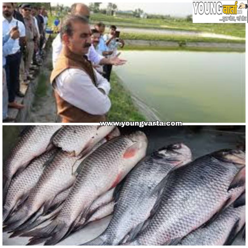 ग्रामीण के युवाओं के लिए वरदान साबित हो सकती है मुख्यमंत्री कार्प मत्स्य पालन योजना , सरकार दे रही 80 प्रतिशत सब्सिडी