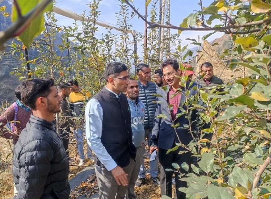 उपायुक्त मुकेश रेपसवाल ने उद्यान विभाग द्वारा संचालित योजनाओं का किया निरीक्षण