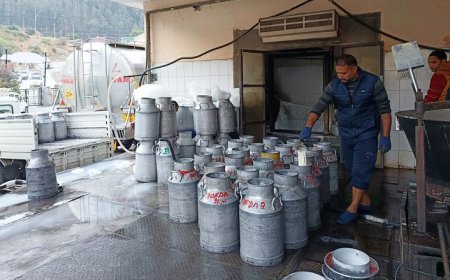 नई दुग्ध क्रांति में अहम भूमिका निभाएगा दत्तनगर दुग्ध प्रसंस्करण संयंत्र  