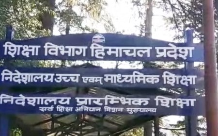 मिड-डे मील की रोजाना जानकारी नहीं देने पर प्रदेश के 7 जिलों के 93 स्कूलों को नोटिस जारी