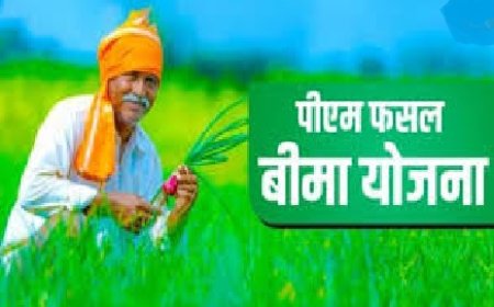 आपदा या सूखे के कारण गेहूं की फसल खराब होने पर 60 हजार रुपये प्रति हेक्टेयर मिलेगा मुआवजा  