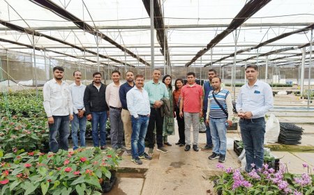 हिमाचल में जरबेरा फूलों की खेती की संभावनाओं के लिए बेंगलुरु पहुंचा बागवानी अधिकारियों का दल 
