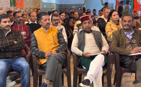 दाड़लाघाट में भाजपा की विशेष बैठक ग्राम पंचायत बरायली के झरना हाॅल में संपन्न