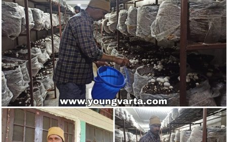 प्रदेश सरकार की मदद से लगाई मशरूम यूनिट , पीक सीजन में रोजाना हो रही 10 से 12 हजार की कमाई 