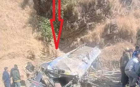 दर्दनाक : आनी में अनियंत्रित होकर गहरी खाई में गिरी निजी बस, कई लोगों के माैत की आशंका