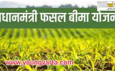 15 दिसम्बर तक करवा ले गेहूं व जौ की फसलों का बीमा : राजकुमार