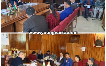 उपायुक्त ने की आरजीएसएसवाई की जिला स्तरीय समिति की बैठक की अध्यक्षता