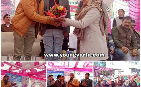 हिमाचल में 2 लाख किसान कर रहे प्राकृतिक खेती , सरकार ने कृषकों से खरीदी 4000 क्विंटल मक्की : सी.पालरासू