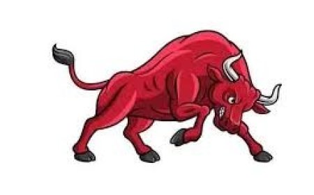 काम से घर लौट रहे युवक पर बैल ने किया हमला , अस्पताल पहुँचने से पहले ही मौत , दोस्त ने भागकर बचाई जान