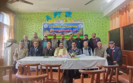 अंतरराष्ट्रीय पर्वत दिवस पर फ्रेंड्स ऑफ फोरेस्ट का हिमालयी क्षेत्रों में जलवायु परिवर्तन के नुकसान पर मंथन