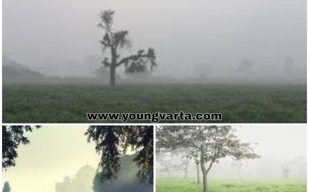 बगीचों को कोहरे से कैसे बचाएं , बागवानी विभाग के उपनिदेशक ने सुझाए उपाय