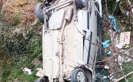 शिमला के हाटकोटी जुब्बल मार्ग पर मारूती कार दुर्घटनाग्रस्त,हादसे में एक व्यक्ति की मौत