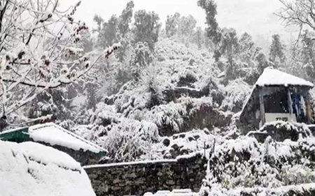 हिमाचल के ऊपरी क्षेत्रों में बर्फबारी का दौर शुरू होने से ठंड का प्रकोप