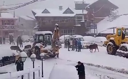 हिमाचल में बर्फबारी से लोगों की बढ़ी परेशानियां,3 एनएच समेत 174 सड़कें यातायात के लिए बंद