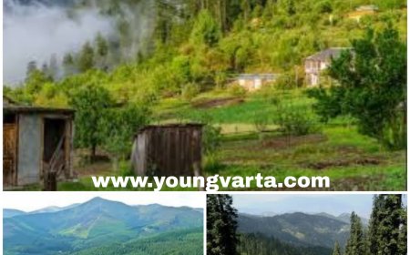 हिमाचल प्रदेश में हरियाली तो बढ़ी , फिर भी प्राकृतिक आपदाओं खतरा बरकरार ,  एफएसआई की रिपोर्ट में हुआ खुलासा 