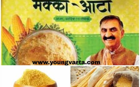 प्रदेश के उपभोक्ताओं को नए साल में डिपुओं में मिलेगा प्राकृतिक मक्की से तैयार हिम भोग आटा