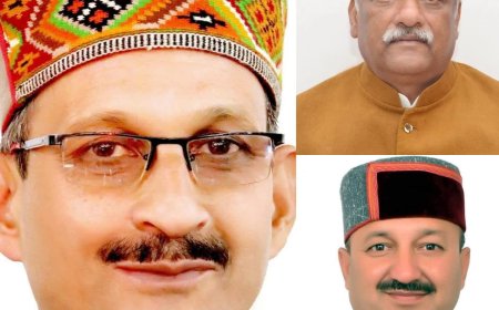 अवैध कटान की जांच के लिए 29 दिसंबर को धर्मपुर पहुंचेगी भाजपा की तीन सदस्यीय फैक्ट फाइंडिंग कमेटी 