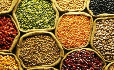 प्रदेश के राशन गोदामों में पहुंचीं 1.60 लाख क्विंटल दालें, एक साथ मिलेगा दो माह का कोटा