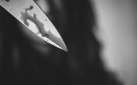 पंजाब के पर्यटकों की दबँगाई, स्नो बूट बदलने पर दुकानदार पर चाकू से दिया हमला