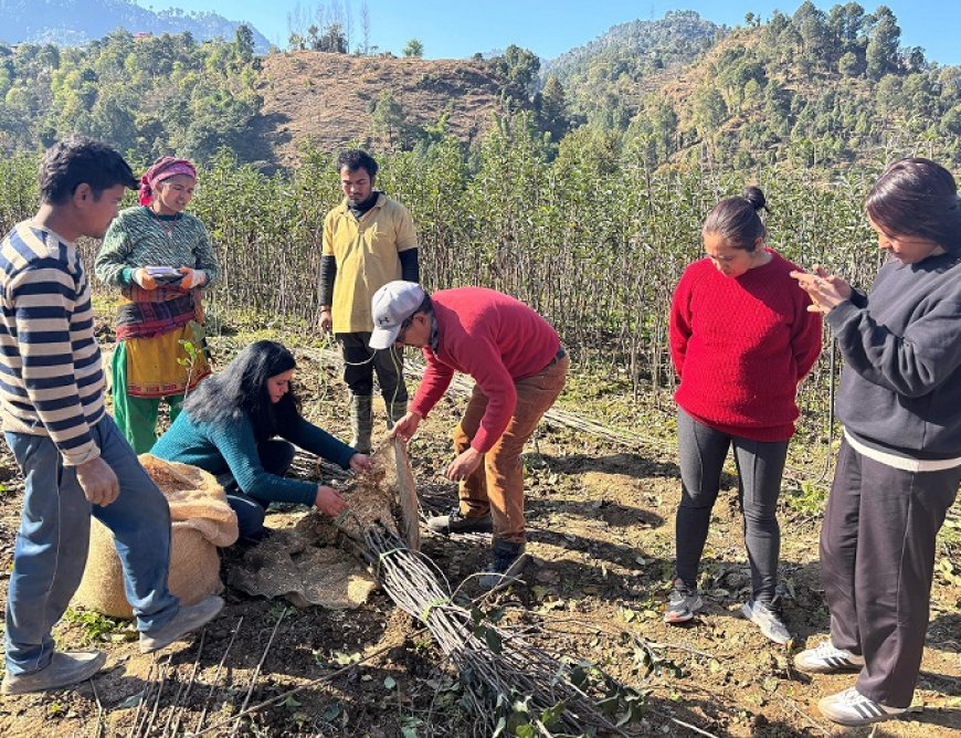 रंग ला रहे बागवानी विकास को बढ़ावा देने के प्रदेश सरकार के प्रयास