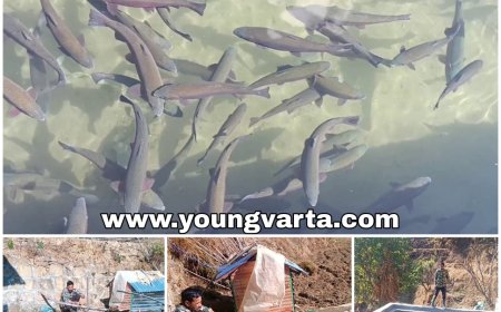 दीनानाथ के लिए मछली पालन बना स्वरोजगार का साधन , सरकार की ओर से मुफ्त बीज व टैंक निर्माण में मिला अनुदान