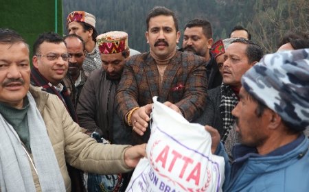 लोक निर्माण मंत्री विक्रमादित्य सिंह ने बंजार के जीभी के तांदी गांव में आगज़नी की घटना से प्रभावित गांव का किया दौरा 