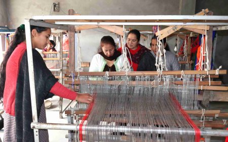 हाथ के हुनर से लिखी आर्थिक स्वावलंबन की कहानी, स्यांज की महिलाएं खड्डी पर बुन रहीं सुनहरे भविष्य के सपने