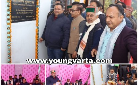 विधानसभा उपाध्यक्ष ने 30 लाख से बने कटवाडी भागडत पंचायत भवन का किया उद्घाटन