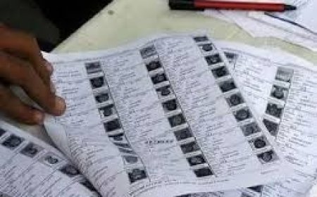 सभी विधानसभा निर्वाचन क्षेत्रों के लिए फोटोयुक्त मतदाता सूचियां अंतिम रूप में प्रकाशित : डीसी