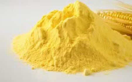 सीविल सप्लाई कार्पोरेशन हमीरपुर के गोदामों में पहुंचा प्राकृतिक खेती से तैयार मक्की का आटा 