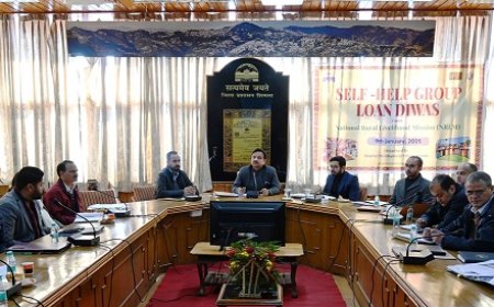 सभी बीडीओ क्षेत्र का विस्तृत दौरा कर समस्याएं ढूंढे और निराकरण करें : उपायुक्त
