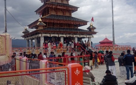 मकर संक्रांति पर माँ भंगायणी मंदिर हरिपुरधार में हजारों श्रद्धालुओं ने नवाया शीश