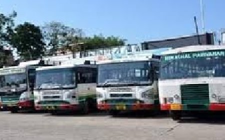 ग्रामीण क्षेत्रों में लोगों को बेहतर सुविधा उपलब्ध करवाने के लिए100 नई मेटाडोर मिनी बसें खरीदेगा एचआरटीसी 